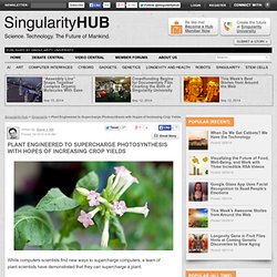 Plant Engineered to Supercharge Photosynthesis with Hopes of Increasing Crop Yields