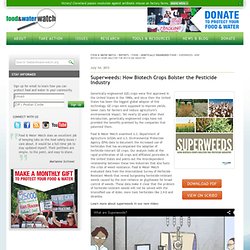 Superweeds: How Biotech Crops Bolster the Pesticide Industry