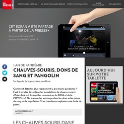 Sur la piste de la prochaine pandémie