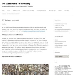 DIY Soybean Inoculant - The Sustainable Smallholding