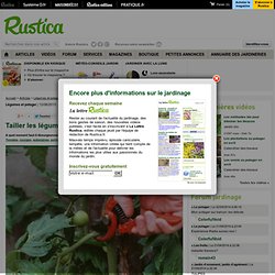 Tailler les légumes au potager