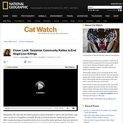 Closer Look: Tanzanian Community Rallies to End Illegal Lion Killings