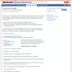Team Norms Sample