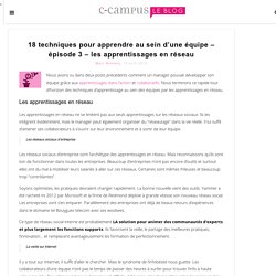18 techniques pour apprendre au sein d’une équipe – épisode 3 – les apprentissages en réseau