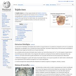 Tejido óseo