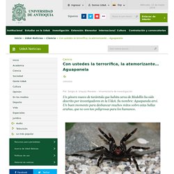 Con ustedes la terrorífica, la atemorizante… Aguapanela