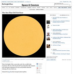 The Sun That Did Not Roar