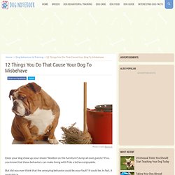 12 Things You Do That Cause Your Dog To Misbehave