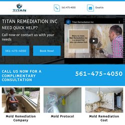 Mold Remediation Cost Boynton Beach FL