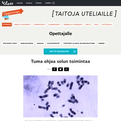 Tuma ohjaa solun toimintaa