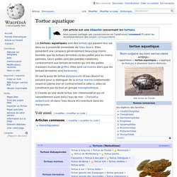 Tortue aquatique