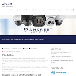 GPS Trackers for Pets Are a Must-Have: Here’s Why – Amcrest