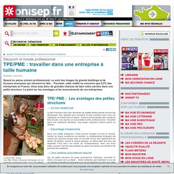 TPE/PME : travailler dans une entreprise à taille humaine