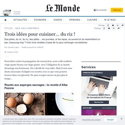 Trois idées pour cuisiner… du riz !