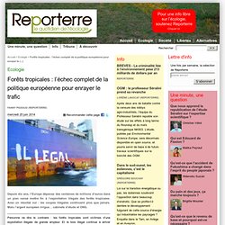 Forêts tropicales : l'échec complet de la politique européenne pour enrayer le trafic