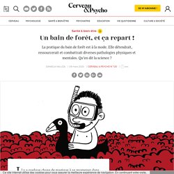 Un bain de forêt, et ça repart !