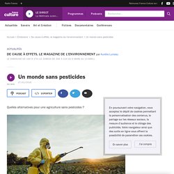 Un monde sans pesticides