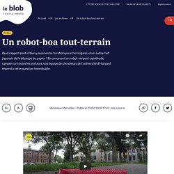 Un robot-boa tout-terrain