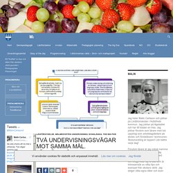 Två undervisningsvägar mot samma mål. Läsförståelse.