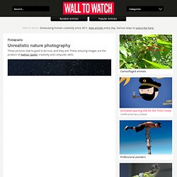 Unrealistic nature photography