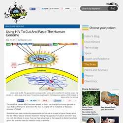Using HIV To Cut And Paste The Human Genome