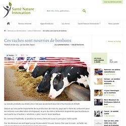 Ces vaches sont nourries de bonbons