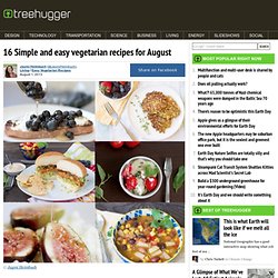 16 Simple and easy vegetarian recipes for August