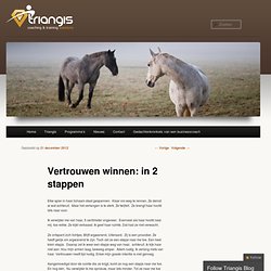 Vertrouwen winnen: in 2 stappen