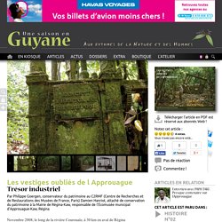 Les vestiges oubliés de l’Approuague : Trésor industriel