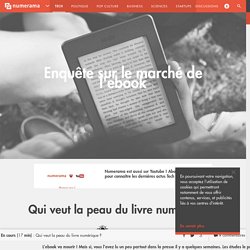 Qui veut la peau du livre numérique ? - Tech