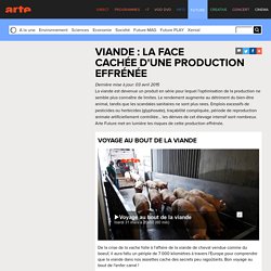 Viande : la face cachée d'une production effrénée