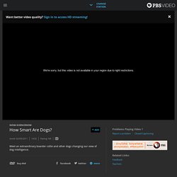 Watch NOVA scienceNOW Online