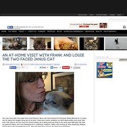 An At-Home Visit With Frank and Louie the Two Faced Janus Cat