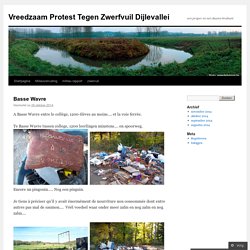 Vreedzaam Protest Tegen Zwerfvuil Dijlevallei