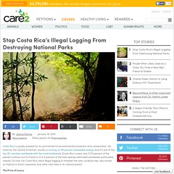 Costa Rica's Vulnerable Cocobolo Threatened by Illegal Logging