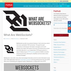 What Are WebSockets?