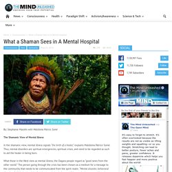 What a Shaman Sees in A Mental Hospital