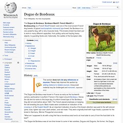 Dogue de Bordeaux