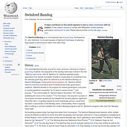 Swinford Bandog
