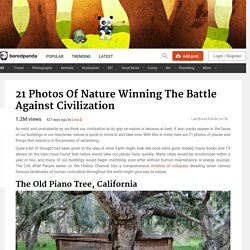 21 Photos Of Nature Winning The Battle Against Civilization